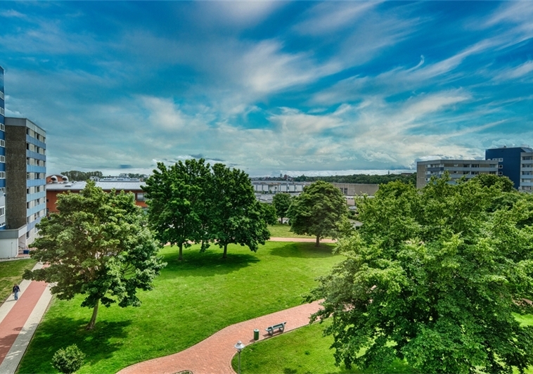 Aussicht auf den parkähnlichen