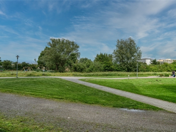 Blick ins Grüne