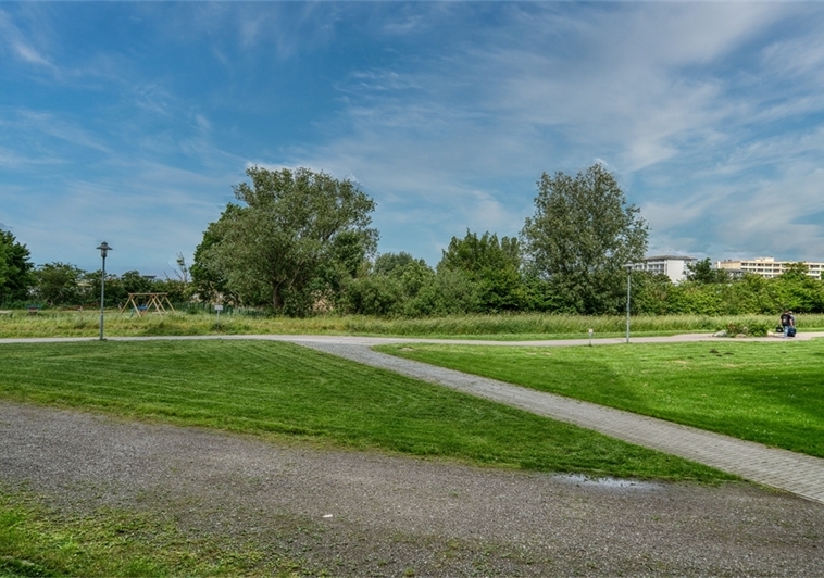 Blick ins Grüne