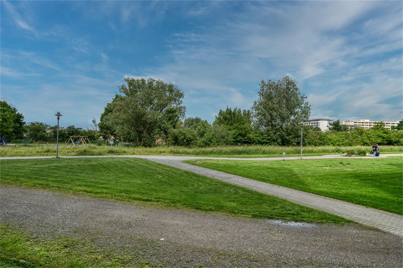 Blick ins Grüne
